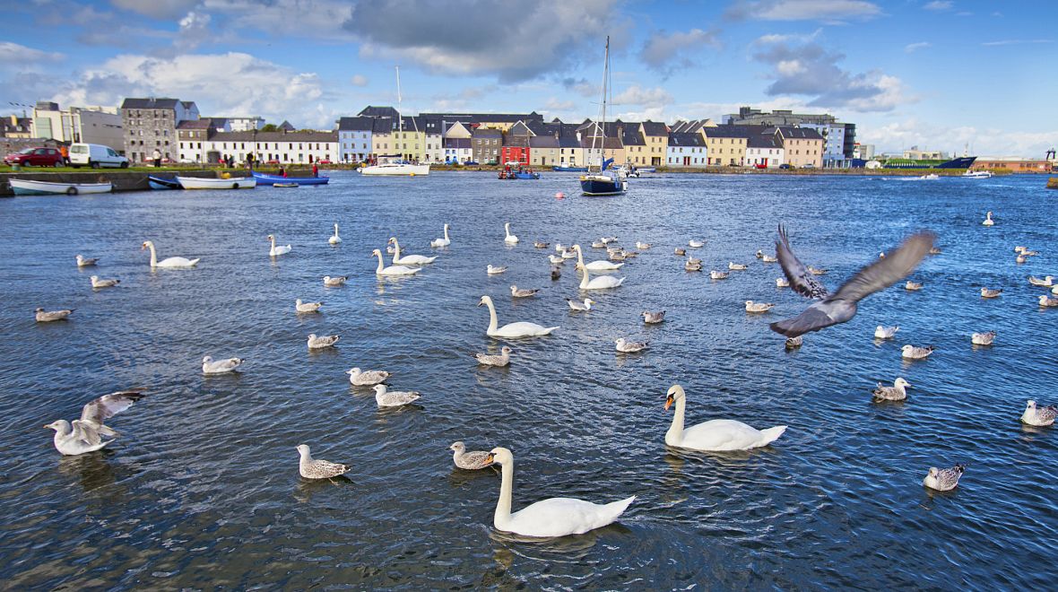 V těsném sousedství Galwaye se nachází malé rybářské městečko Claddagh