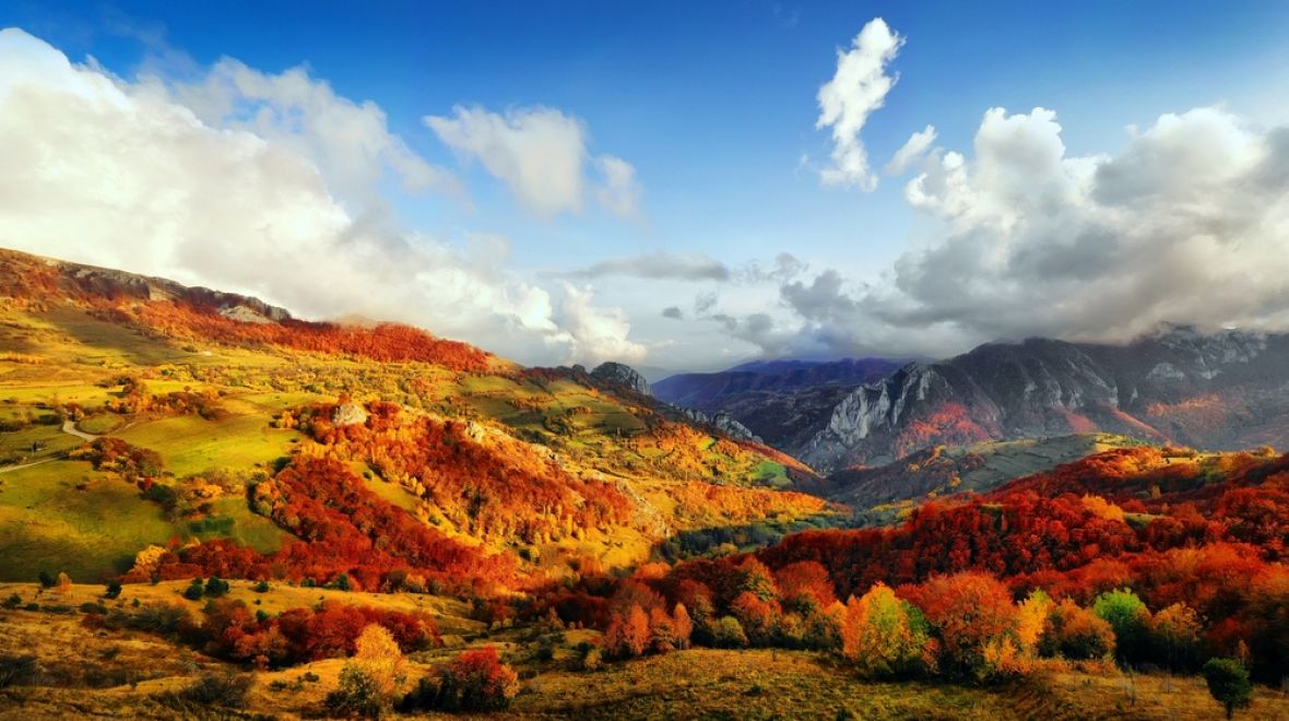 Barevné tóny podzimu v zemi