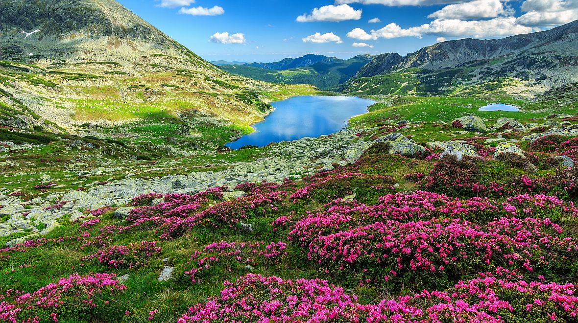 Země během jara celá kvete