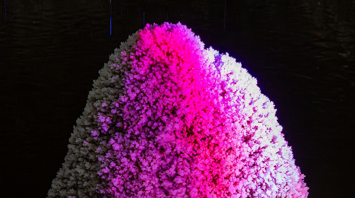 Znáte, všechny léčivé účinky soli?