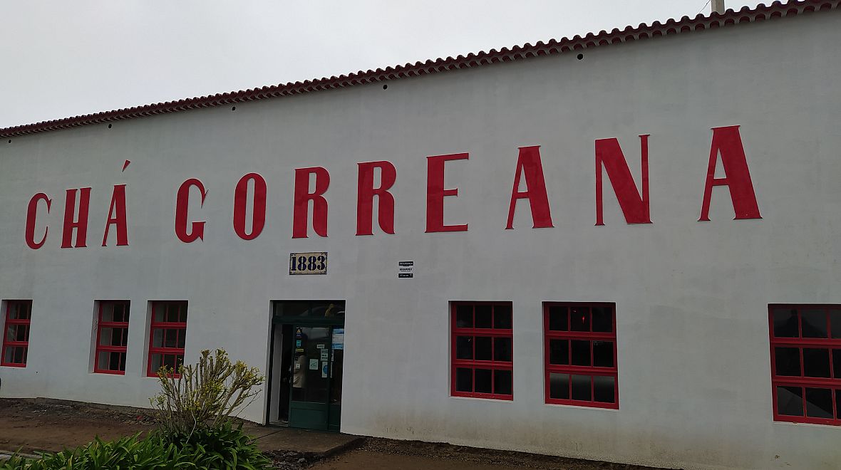 Továrna na čaj je v provozu už od roku 1883