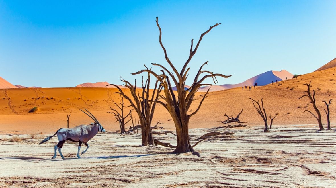 Jílovitá pánev Deadvlei