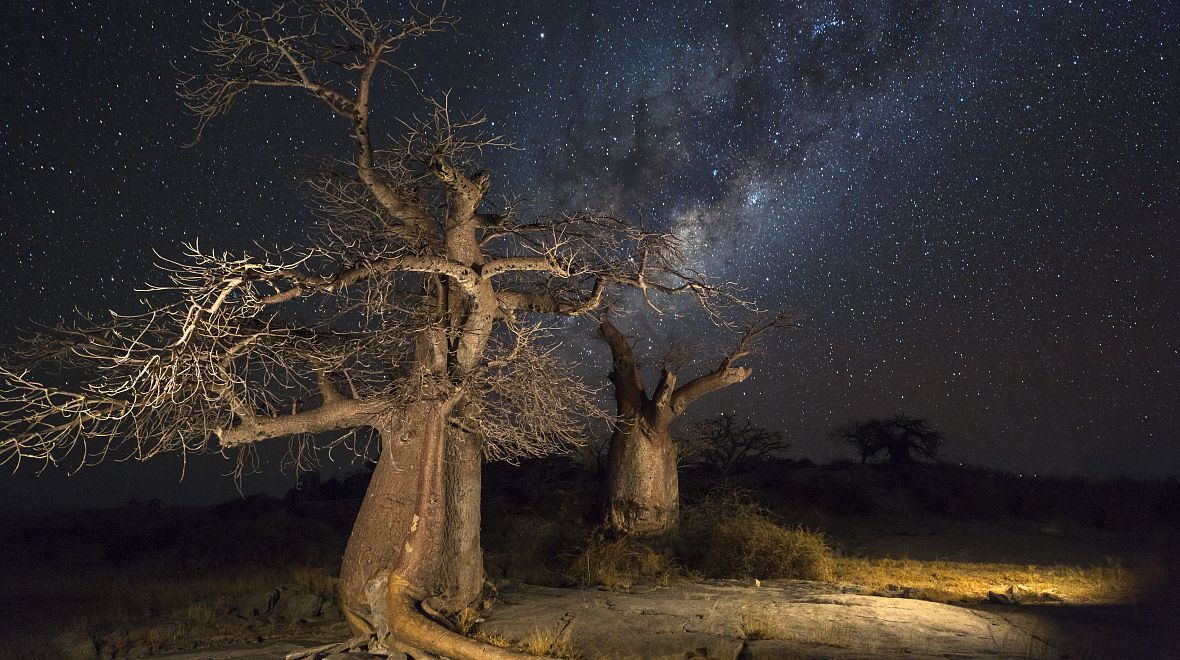 V Makgadikgadi si užijete pozorování hvězd a Mléčné dráhy