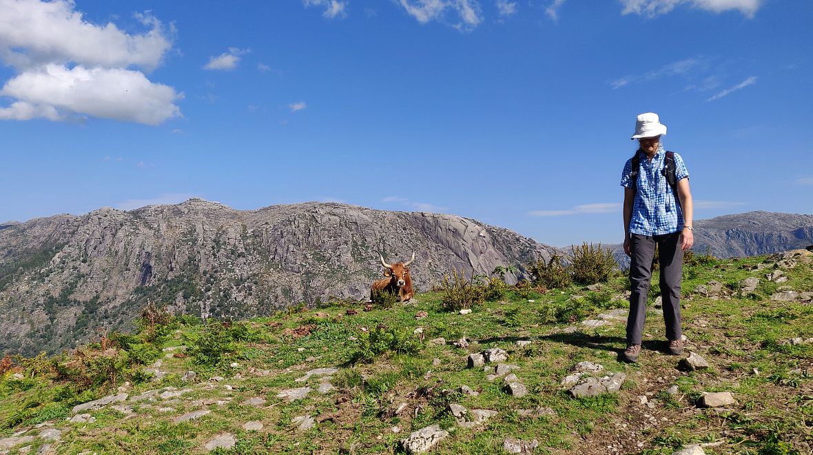 V Peneda-Gerês se ocitnete blízko přírodě ve všech jejích podobách