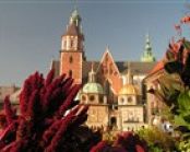<small>Poznávací zájezd </small>Velikonoční Krakow