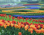 <small>Poznávací zájezd </small>Floriade 2012 (bez ubytování) - z Prahy, Plzně
