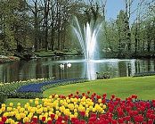 <small>Poznávací zájezd </small>Floriade 2012 a květinové korzo v Holandsku a Belgie