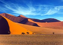 Zájezdy do Namibie