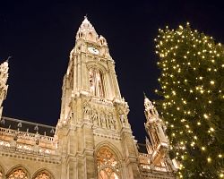 Vánoční strom u vídeňské radnice
