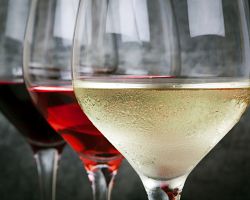Ochutnávka vín od místních vinařů