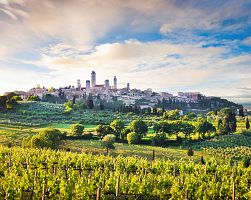 San Gimignano obklopeno vinicemi
