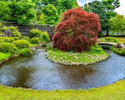 Tradiční japonská zahrada v parku Kóko-en