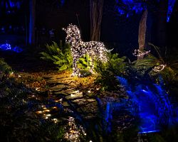 Každoročně nápaditější vánoční instalace botanické zahradě v Málaze