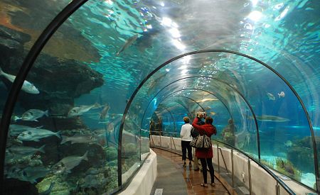 "Žraločí" tunel - Akvárium Barcelona