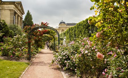 Botanický ráj Jardin des Plantes