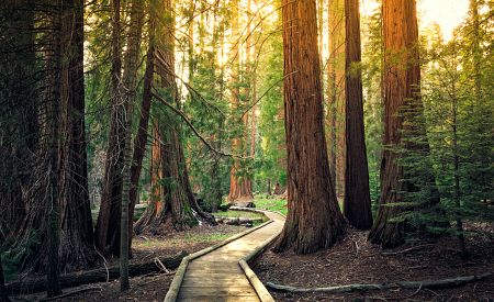 Západ slunce v národním parku Sequoia