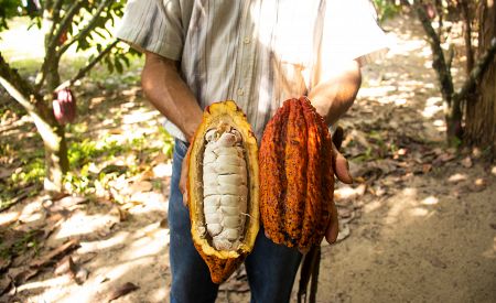 Kolumbijské kakao… Nahlédněte pod pokličku – na kakaové farmě u Sierra Minca