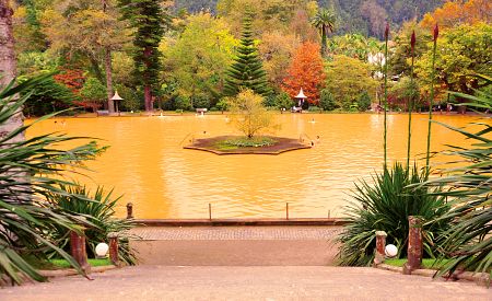 Žlutý bazén s termální vodou v zahradě Terra Nostra