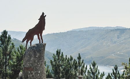 Vlk – symbol a strážce hlídající vstup do portugalské vesnice Fafião v národním parku Peneda-Gerês