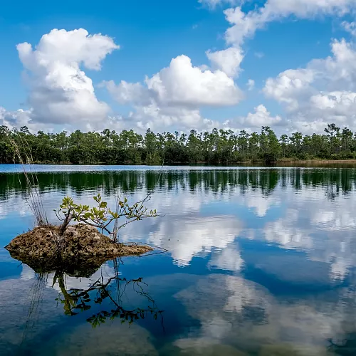 Procházka po NP Everglades