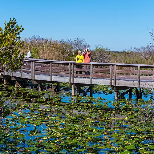 Procházka po NP Everglades
