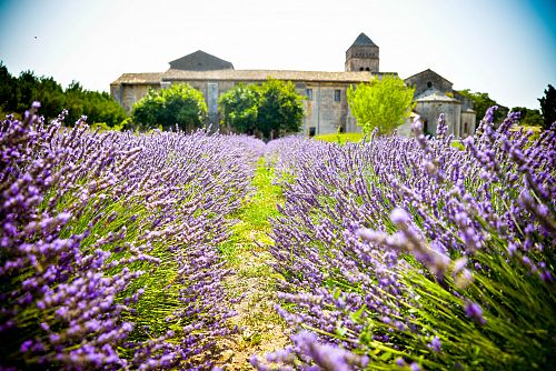 Voňavá levandulová Provence