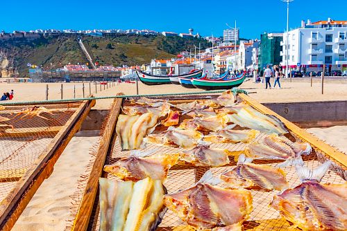 Sluncem sušené ryby v portugalském městečku Nazaré