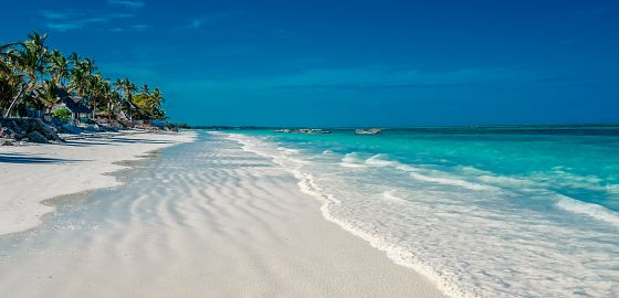 NOVINKA: Relax na plážích Zanzibaru, cesta za voňavým kořením, želvami i divokou přírodou