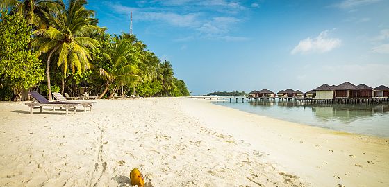 NOVINKA: Perfektní relax na plážích Malediv a zážitkové krmení rejnoků při západu slunce