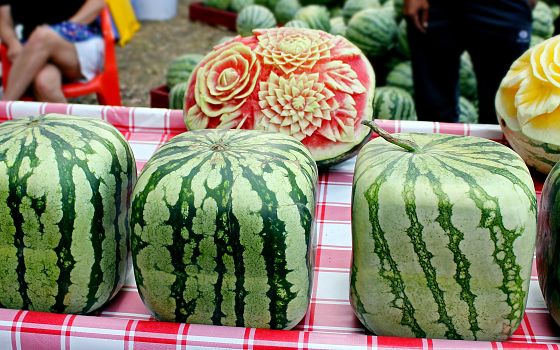 Hranaté melouny: Japonský výmysl pro malé ledničky. Je ale opravdu o co stát?
