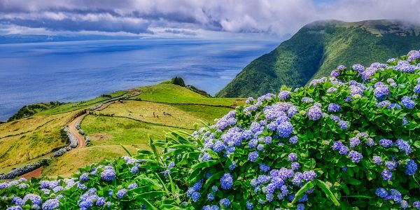 Zájezdy na Azorské ostrovy - srovnání a doporučení