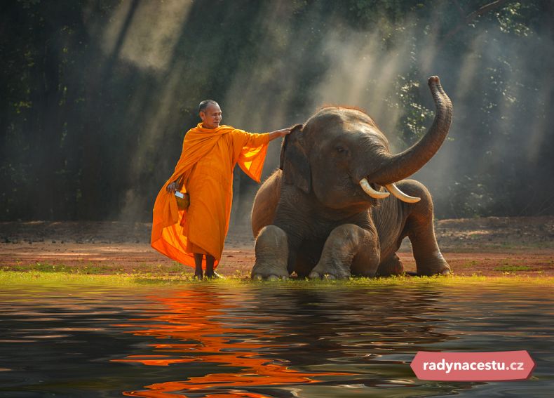 Sloni mají pro Thajsko velký význam