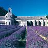 <small>Poznávací zájezd </small>Provence - královskou Francií