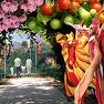 <small>Poznávací zájezd </small>FLORIADE 2012 s návštěvou Amsterdamu