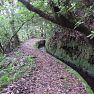 <small>Poznávací zájezd </small>Madeira turistická - 11 denní