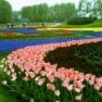 <small>Poznávací zájezd </small>Květinová výstava Floriade 2012 s návštěvou Německa