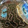 <small>Poznávací zájezd </small>Berlín + Aquapark Tropical Islands