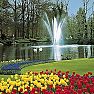 <small>Poznávací zájezd </small>Floriade 2012 a květinové korzo v Holandsku a Belgie