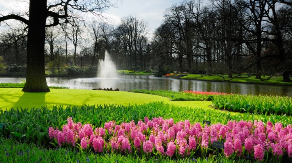 Keukenhof je největší květinový park v Evropě