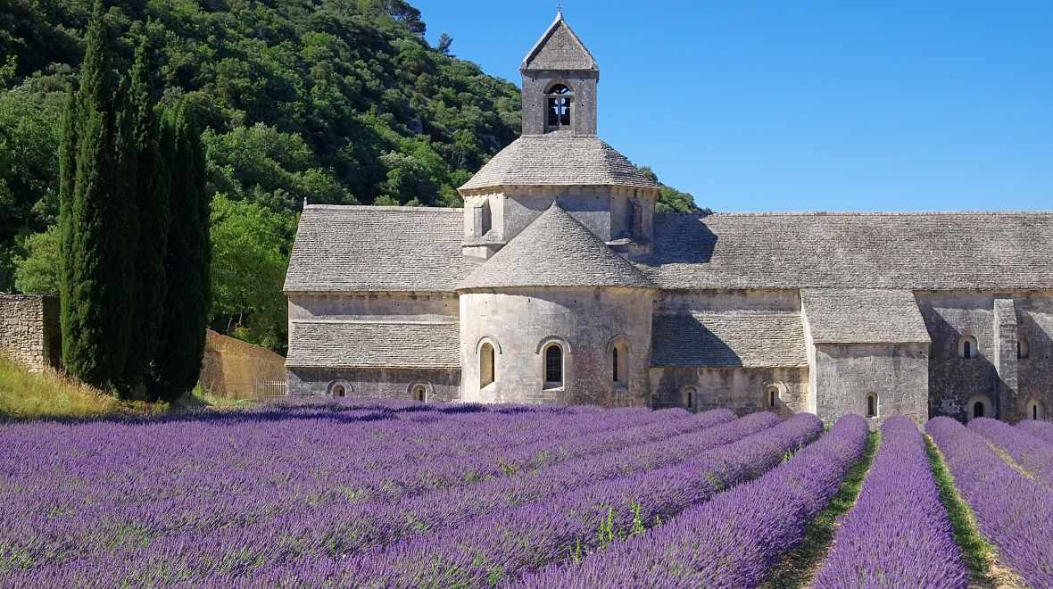 Provence - kraj levandule a olivového oleje