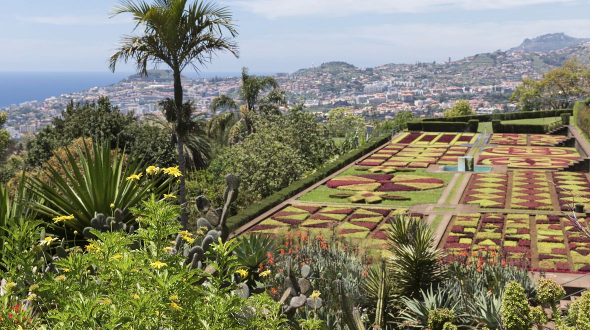 Tropická zahrada na ostrově Madeira