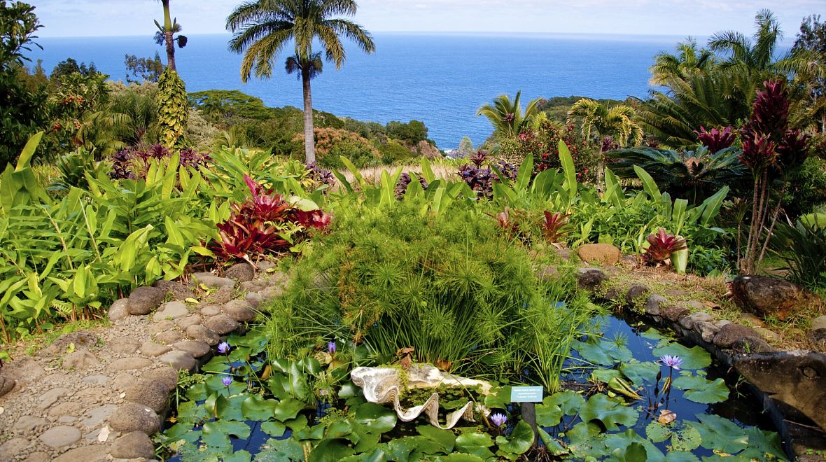 Tropická botanická zahrada na Maui