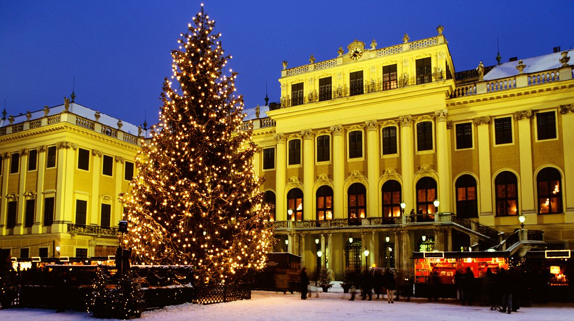 Vánoční strom u zámku Schönbrunn