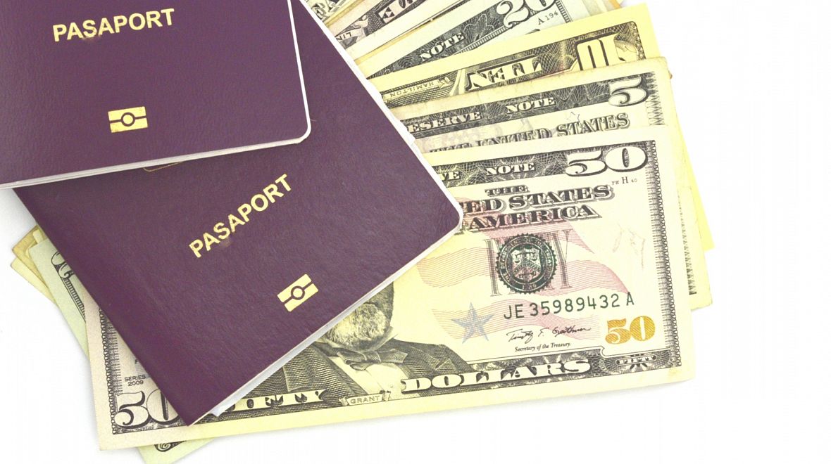 Biometrický pas a americké dolary