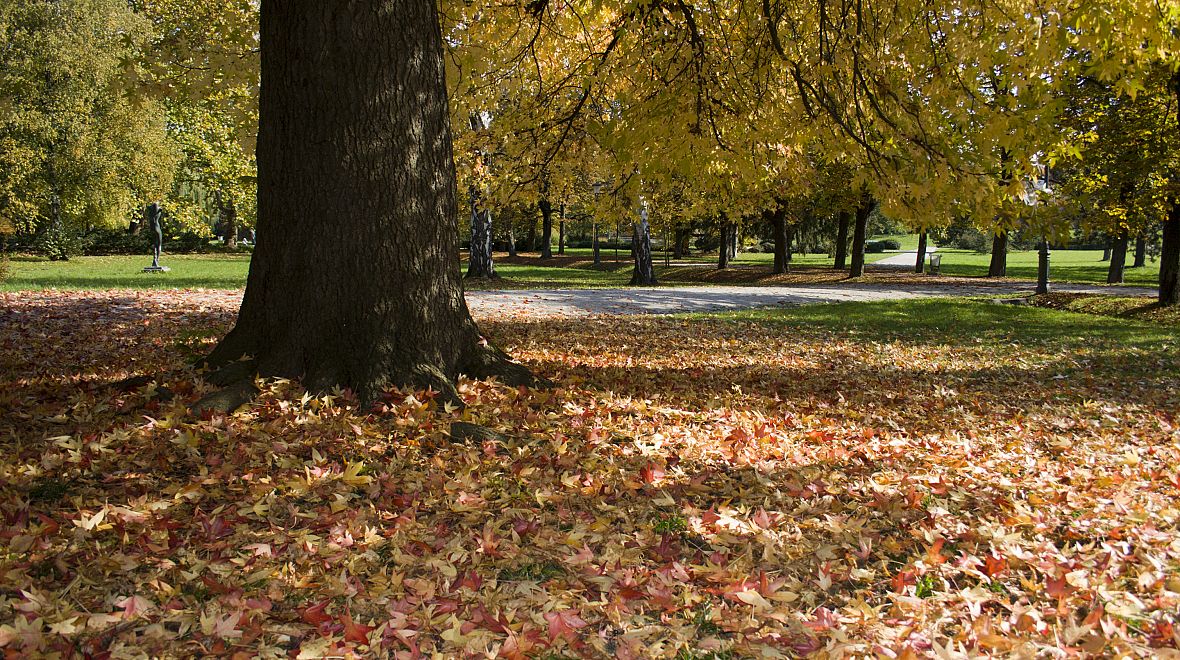 Park Tivoli na podzim