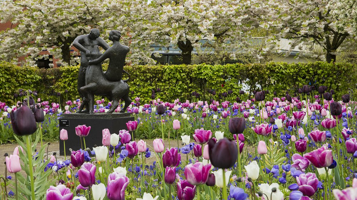 Jaro a rozkvetlé tulipány v parku Keukenhof
