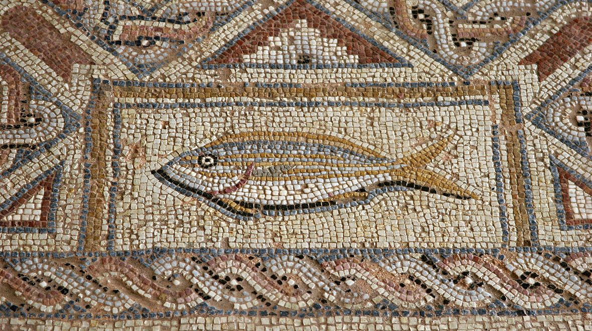 Rybí mozaika na Kypru