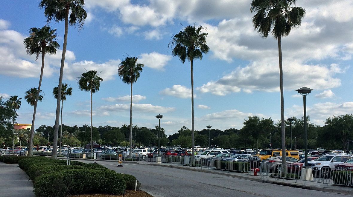 Parkoviště u Disney Worldu - ani tady nechybí palmy
