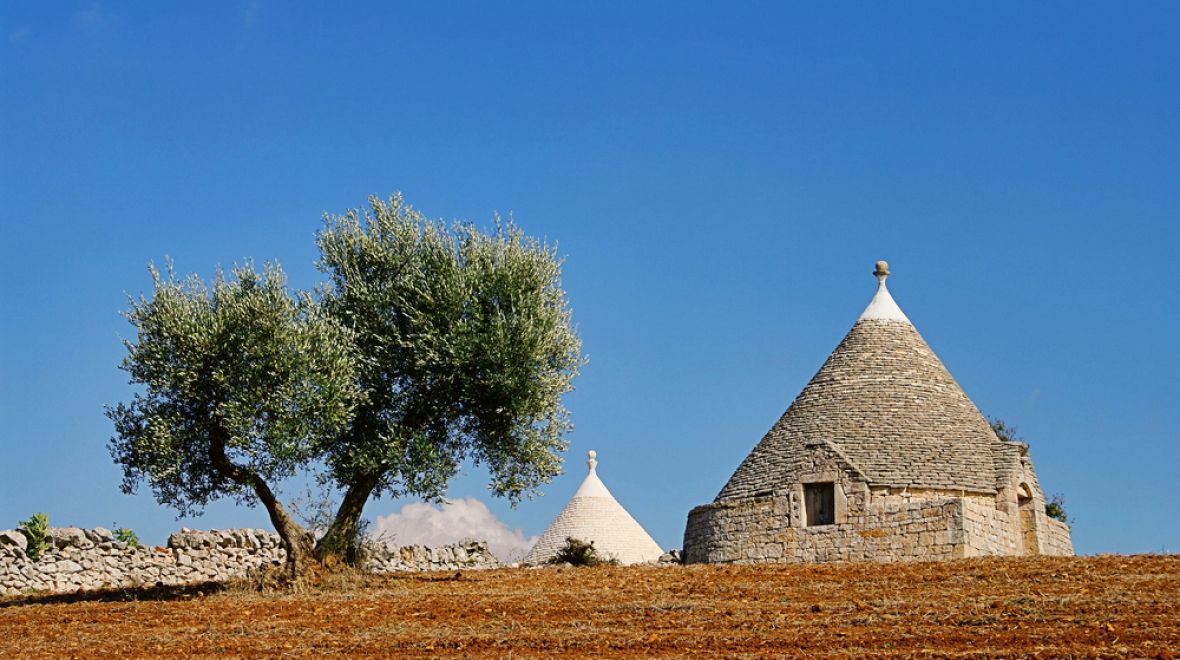 Apulie je kraj plný trullů a olivovníků 
