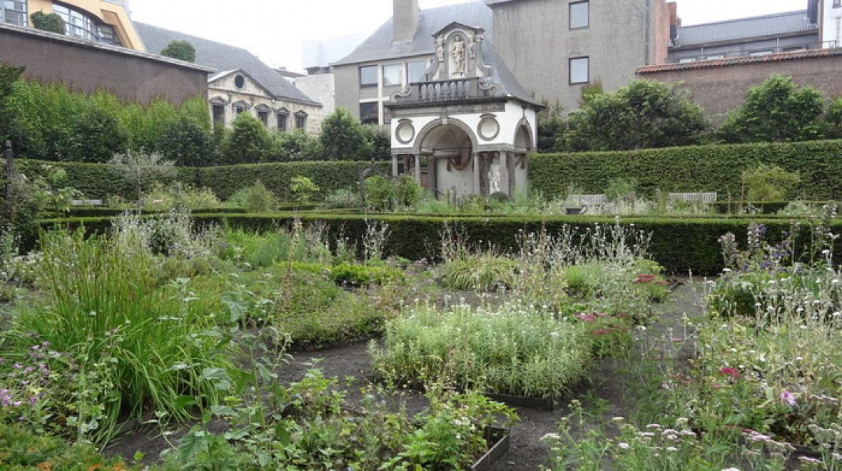 Zahrada Rubensova domu
